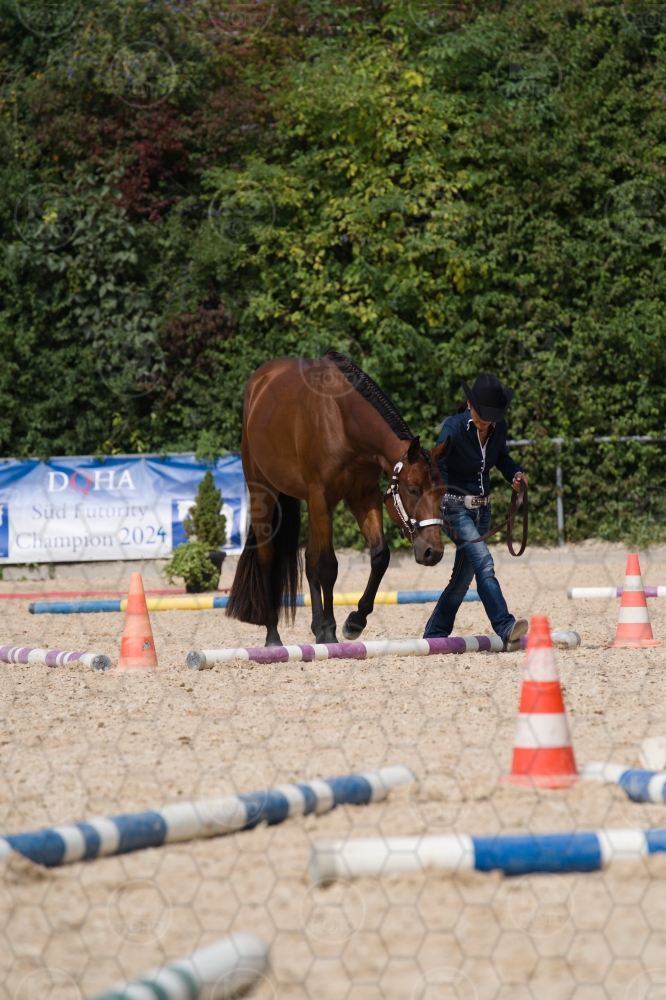 s_batch_A9_00101.jpg